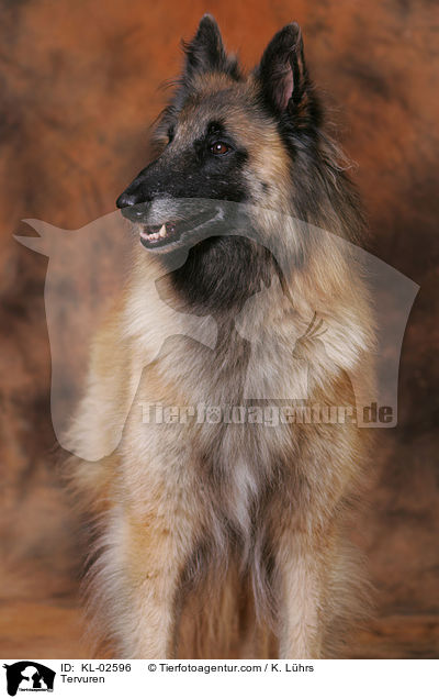 Tervueren / Tervuren / KL-02596