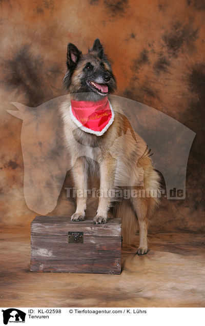 Tervueren / Tervuren / KL-02598