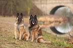 2 Tervueren