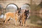2 Tervueren