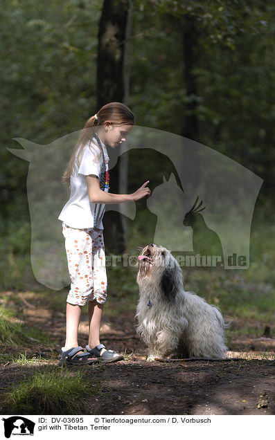 Mdchen mit Tibet Terrier / girl with Tibetan Terrier / DV-03695