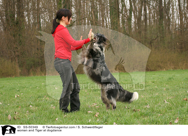 Frau und Altdeutscher Tiger beim Dogdance / woman and Tiger at dogdance / SS-50349