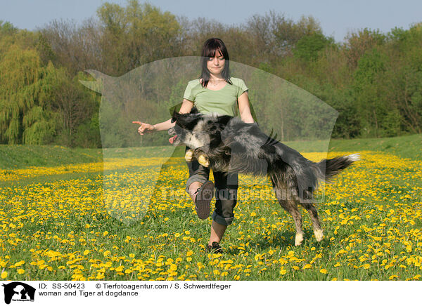 Frau und Altdeutscher Tiger beim Dogdance / woman and Tiger at dogdance / SS-50423