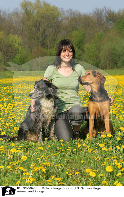 woman and 2 dogs / SS-50455