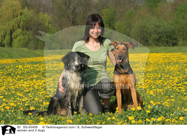 woman and 2 dogs / SS-50456