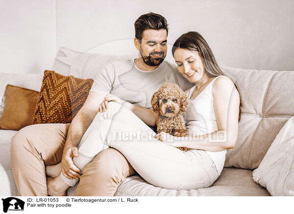 Pair with toy poodle / LR-01053