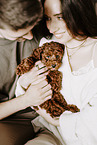 miniature poodle