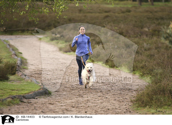 Canicross / Canicross / KB-14403