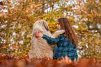 Waeller Sheepdog