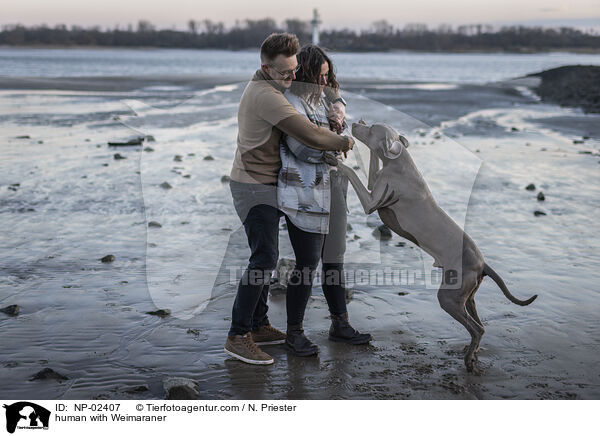 Menschen mit Weimaraner / human with Weimaraner / NP-02407