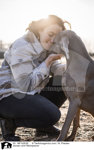 Frau und Weimaraner / woman and Weimaraner / NP-02636