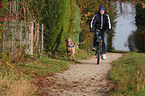 cycling with dog