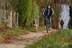 cycling with dog