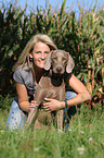 woman and shorthaired Weimaraner