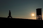 woman and Weimaraner