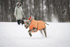 woman and Weimaraner