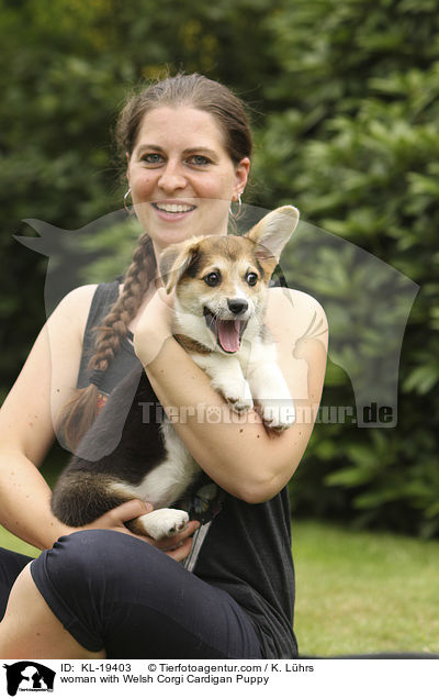 woman with Welsh Corgi Cardigan Puppy / KL-19403