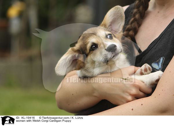 woman with Welsh Corgi Cardigan Puppy / KL-19416