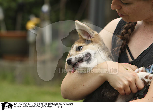 woman with Welsh Corgi Cardigan Puppy / KL-19417
