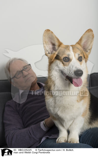 man and Welsh Corgi Pembroke / HBO-05225