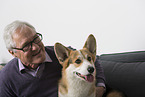 man and Welsh Corgi Pembroke