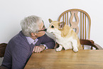 man and Welsh Corgi Pembroke