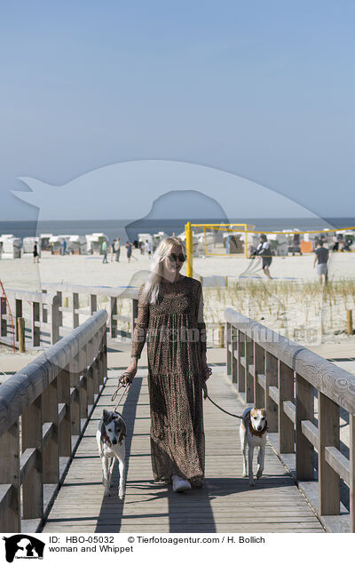 Frau und Whippet / woman and Whippet / HBO-05032