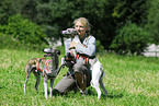 woman and whippets