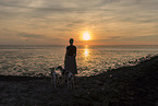 woman and Whippet