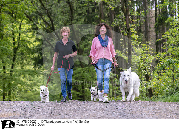 Frauen mit 3 Hunden / womans wtih 3 Dogs / WS-09027