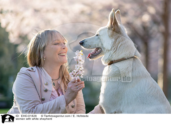 Frau mit Weiem Schferhund / woman with white shepherd / EHO-01828