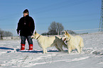 White Shepherds