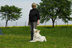 woman and white swiss shepherd