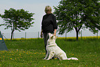 woman and white swiss shepherd