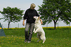 woman and white swiss shepherd