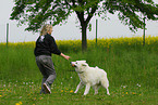 woman and white swiss shepherd