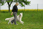 woman and white swiss shepherd