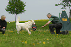 dog training