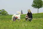 dog training