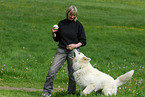 woman and white swiss shepherd