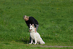 woman and white swiss shepherd