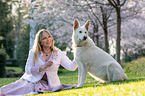 woman with white shepherd