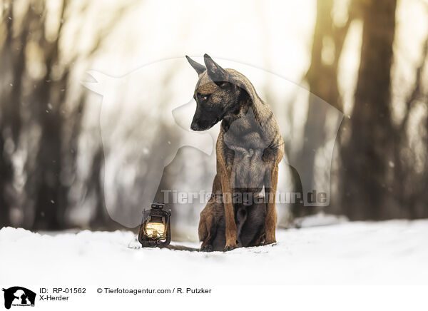 X-Herder / X-Herder / RP-01562