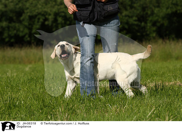 Dogdance / Dogdance / JH-06318