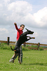 Doberman Pinscher at dog dancing