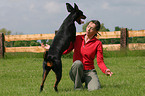 Doberman Pinscher at dog dancing