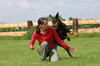 Doberman Pinscher at dog dancing