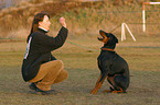 Doberman Pinscher catches treat