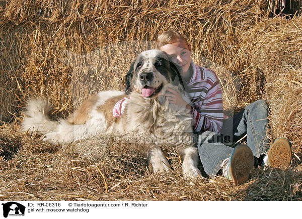 Mdchen mit Moskauer Wachhund / girl with moscow watchdog / RR-06316
