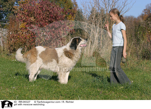 Mdchen mit Moskauer Wachhund / girl with moscow watchdog / RR-06327